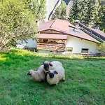 Jaggi Hopfgarten im Brixental