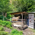 Apartment Jaggi Hopfgarten im Brixental