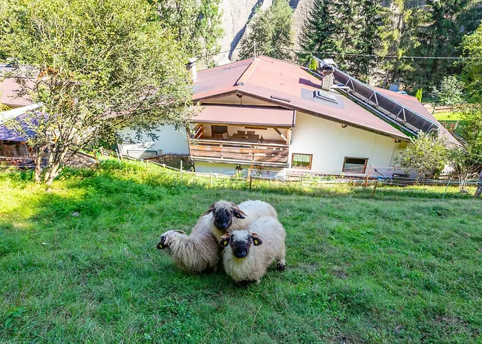 Jaggi 布里克森谷地霍普夫加尔滕