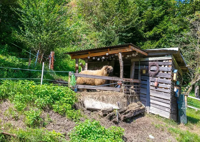 公寓 Jaggi 布里克森谷地霍普夫加尔滕