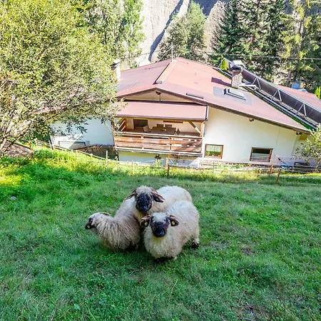 Jaggi * Hopfgarten im Brixental